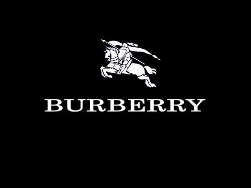 burberry logo